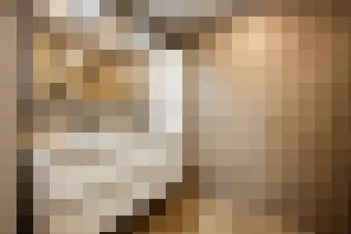 Elzenmos 6 Zwolle thumbnail 22
