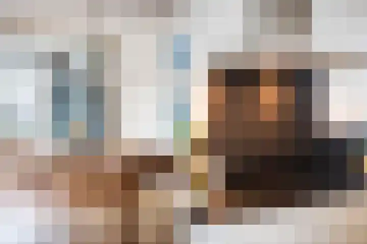 Elzenmos 6 Zwolle thumbnail 24