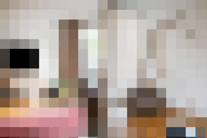 Elzenmos 6 Zwolle thumbnail 25