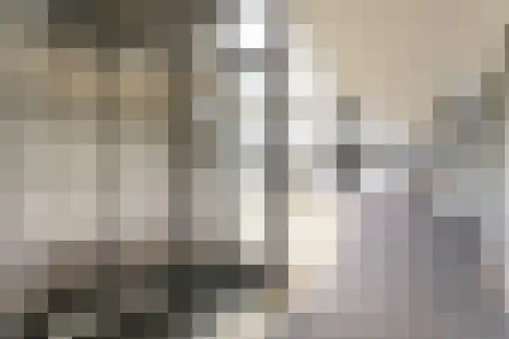 Elzenmos 6 Zwolle thumbnail 5