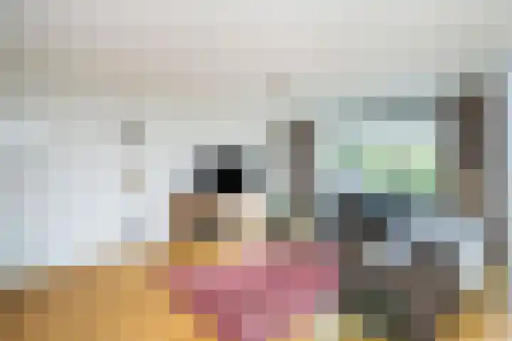 Elzenmos 6 Zwolle thumbnail 7