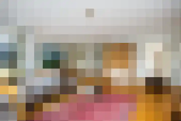 Elzenmos 6 Zwolle thumbnail 8