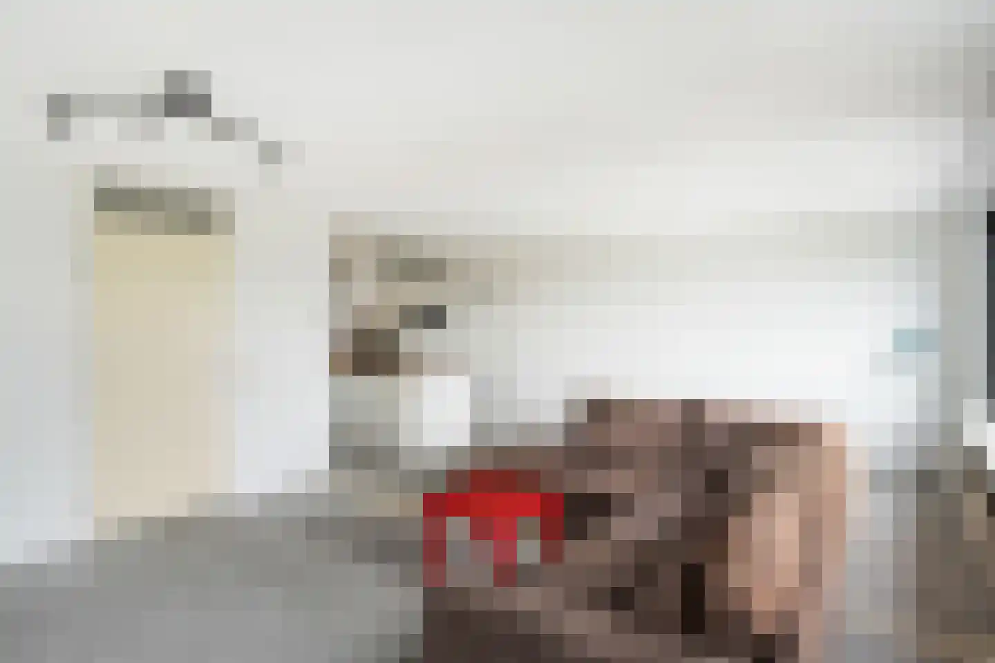 Elzenmos 72 Zwolle thumbnail 10
