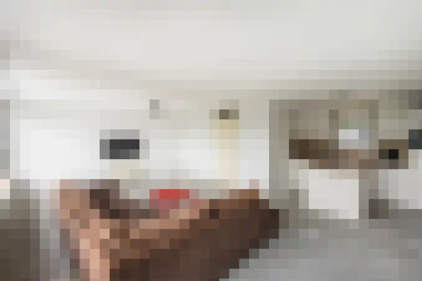 Elzenmos 72 Zwolle thumbnail 11
