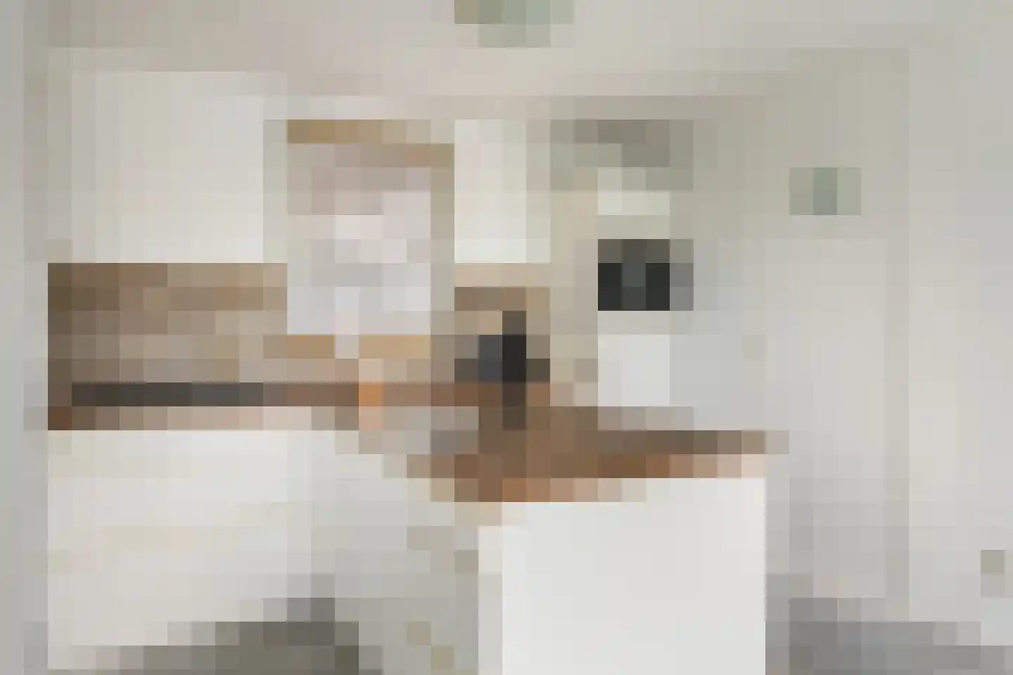 Elzenmos 72 Zwolle thumbnail 12