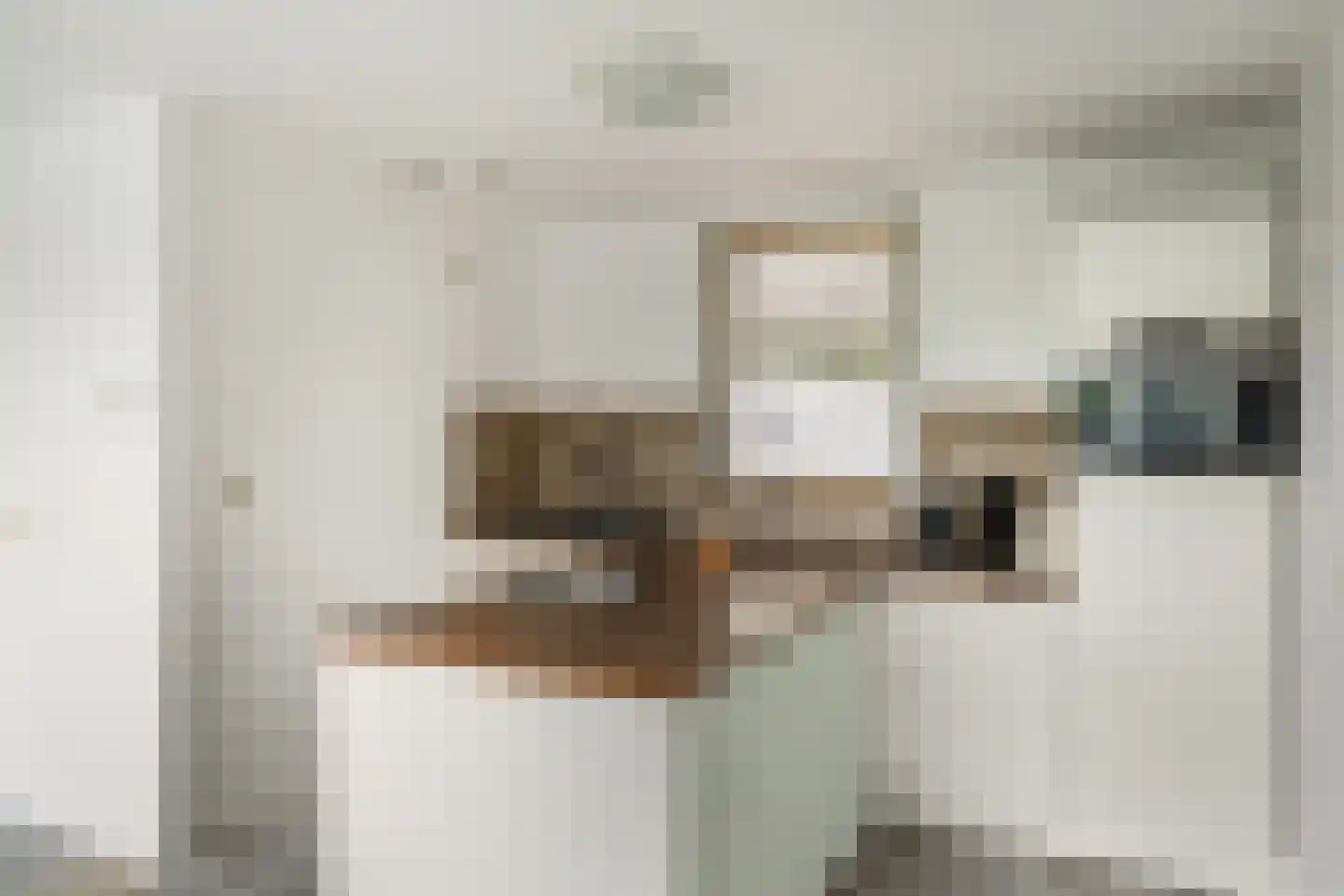 Elzenmos 72 Zwolle thumbnail 13