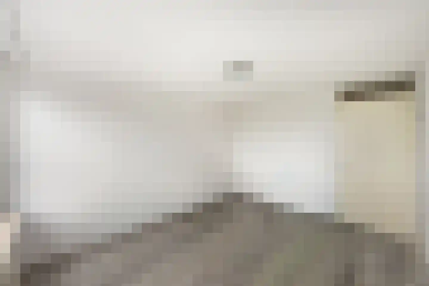 Elzenmos 72 Zwolle thumbnail 17