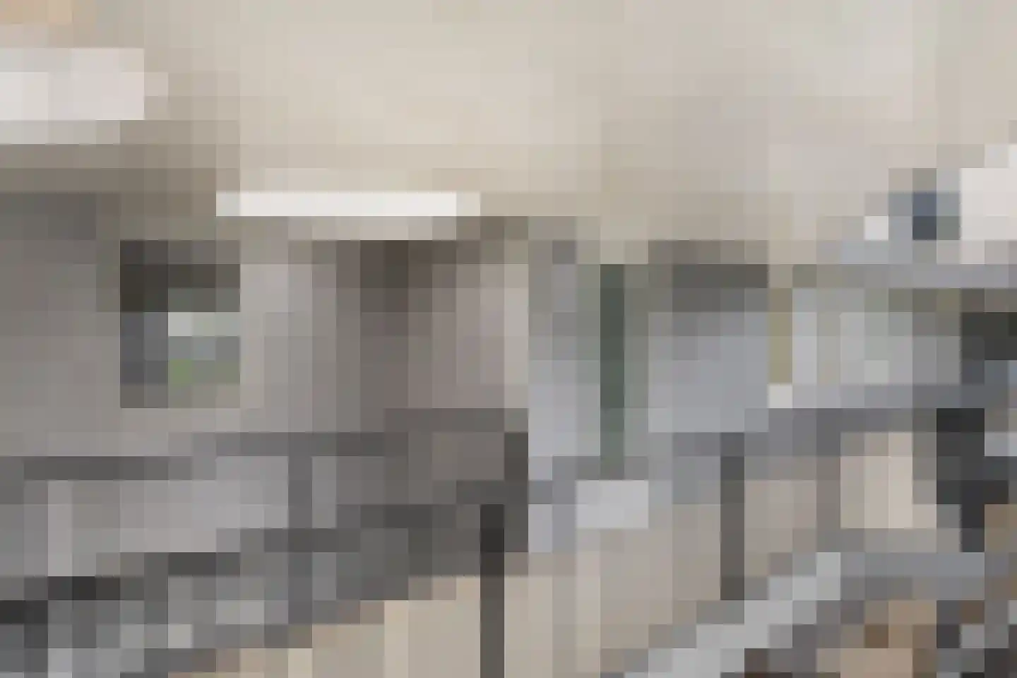 Elzenmos 72 Zwolle thumbnail 5