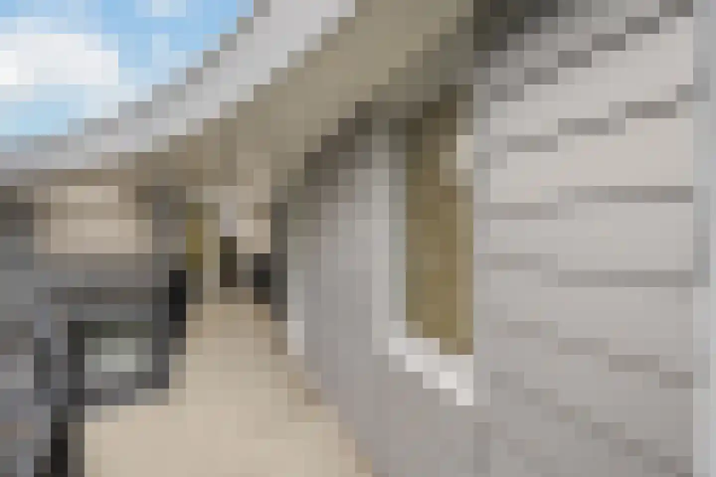 Elzenmos 72 Zwolle thumbnail 6