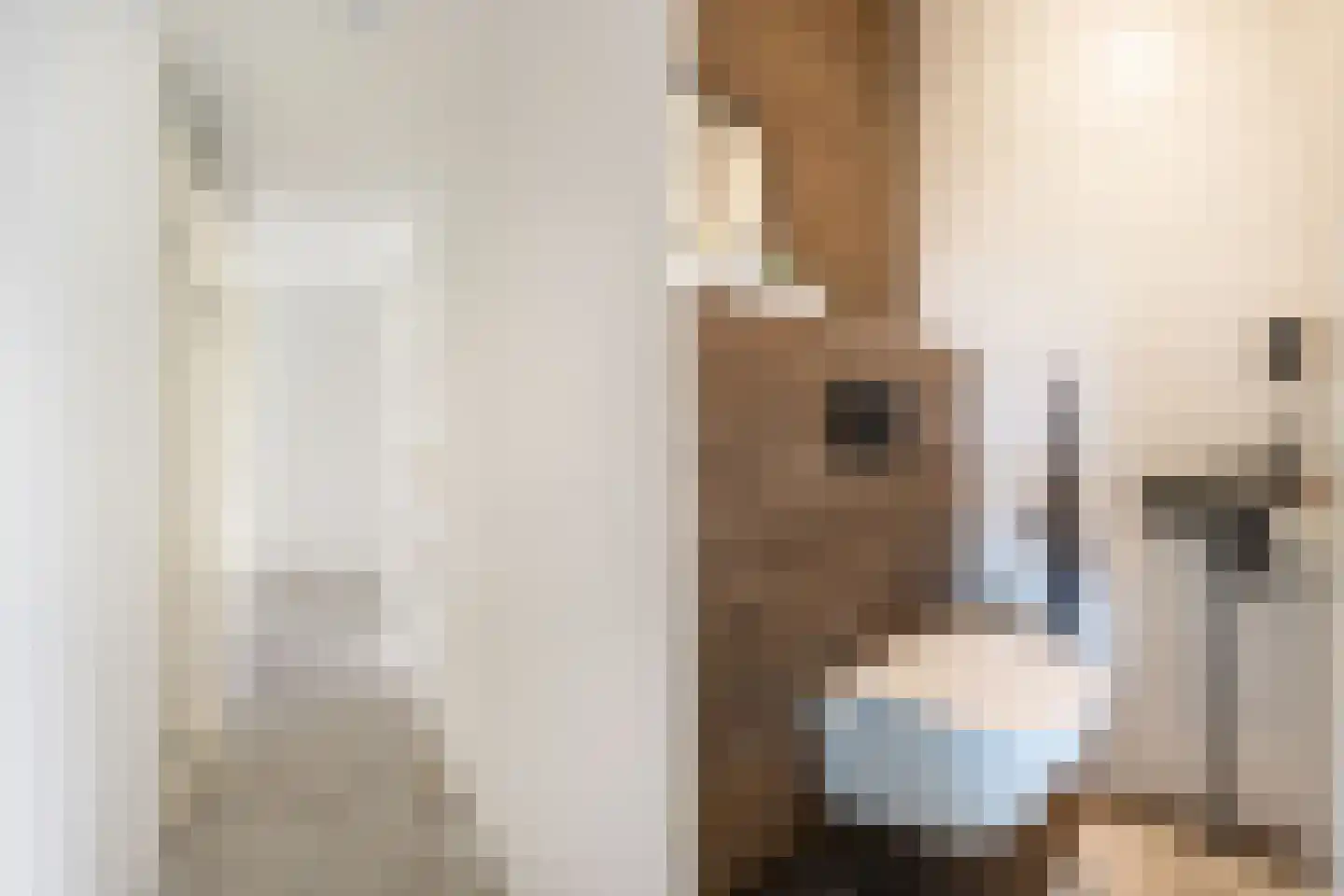 Elzenmos 72 Zwolle thumbnail 8