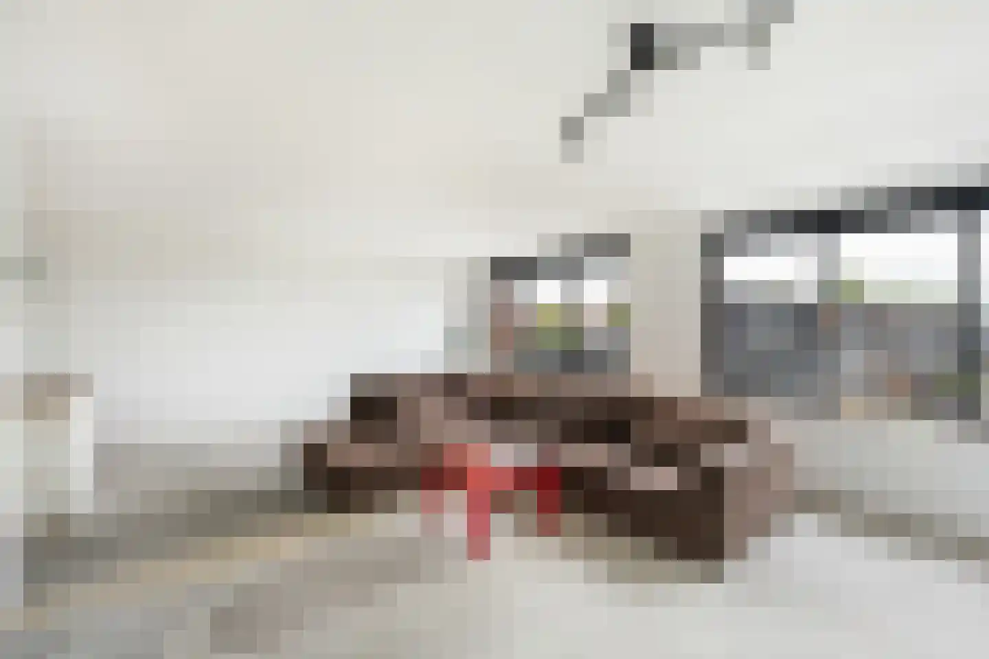 Elzenmos 72 Zwolle thumbnail 9