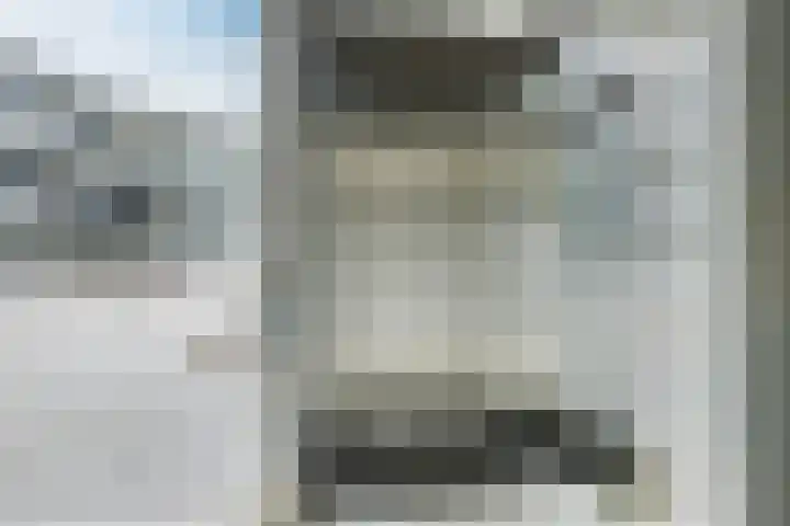 Elzenmos 74 Zwolle thumbnail 10