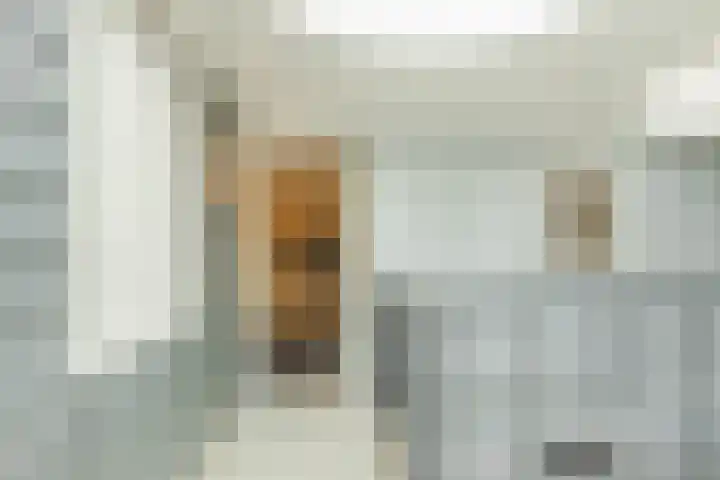 Elzenmos 74 Zwolle thumbnail 11