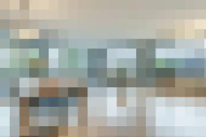 Elzenmos 74 Zwolle thumbnail 14