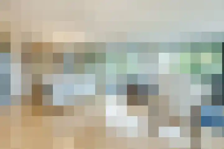 Elzenmos 74 Zwolle thumbnail 15
