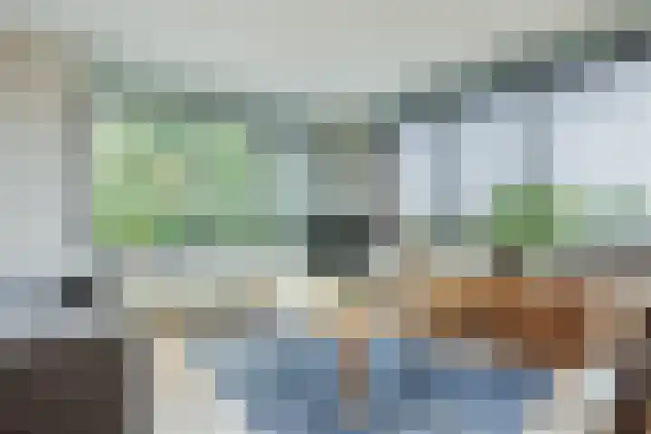 Elzenmos 74 Zwolle thumbnail 16