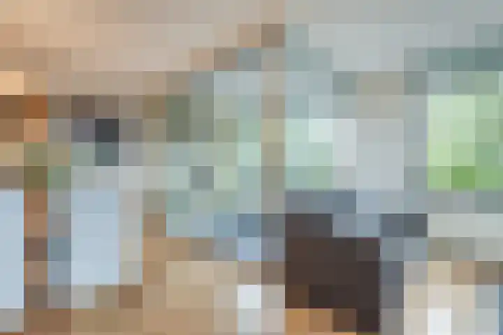 Elzenmos 74 Zwolle thumbnail 18