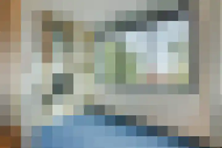 Elzenmos 74 Zwolle thumbnail 20