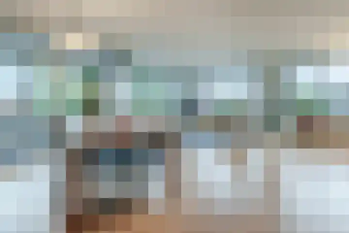 Elzenmos 74 Zwolle thumbnail 22