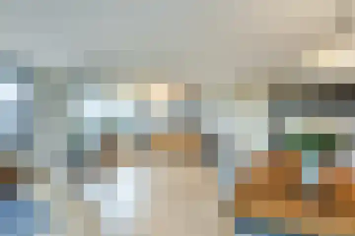 Elzenmos 74 Zwolle thumbnail 23