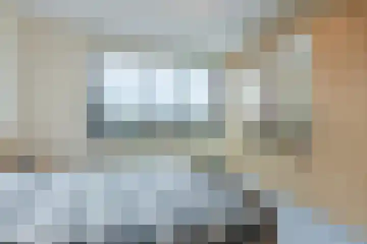 Elzenmos 74 Zwolle thumbnail 25
