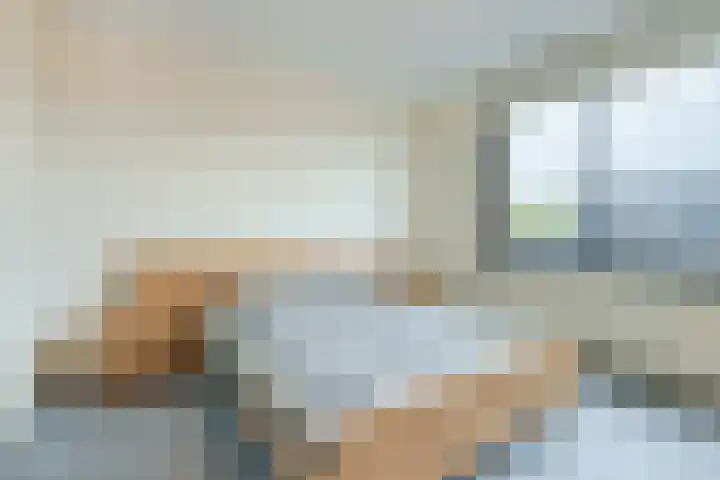 Elzenmos 74 Zwolle thumbnail 26