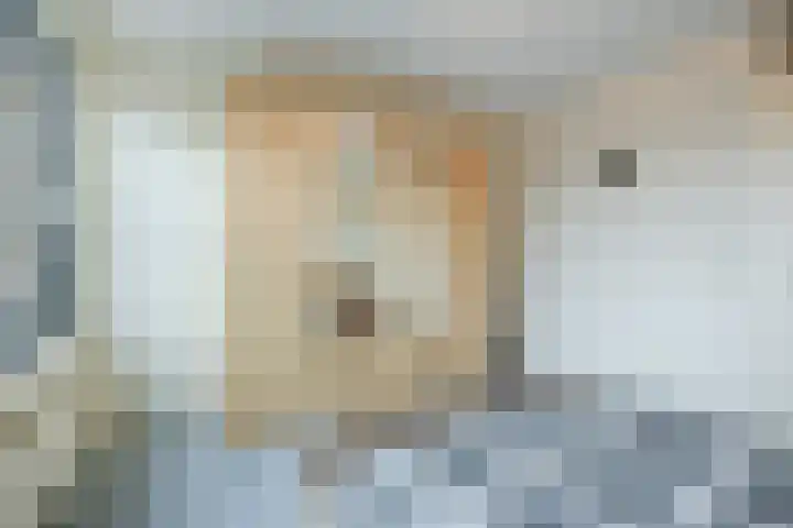 Elzenmos 74 Zwolle thumbnail 27