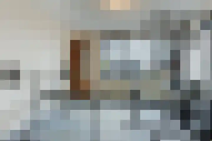 Elzenmos 74 Zwolle thumbnail 28