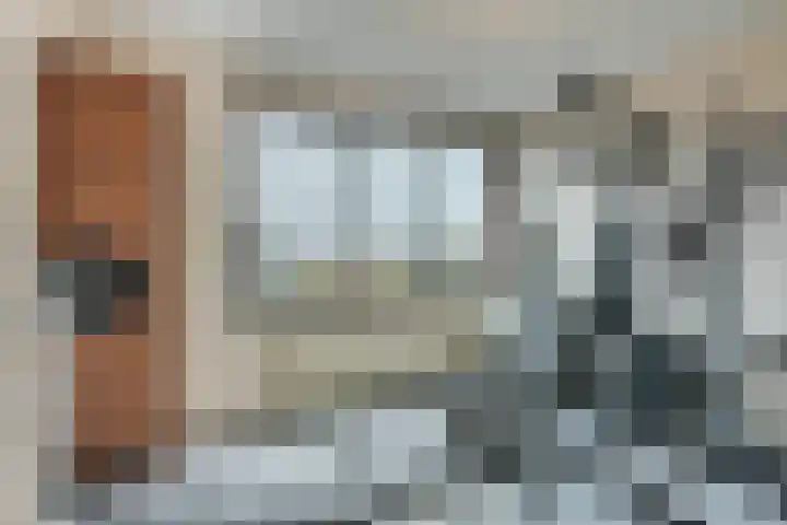 Elzenmos 74 Zwolle thumbnail 29