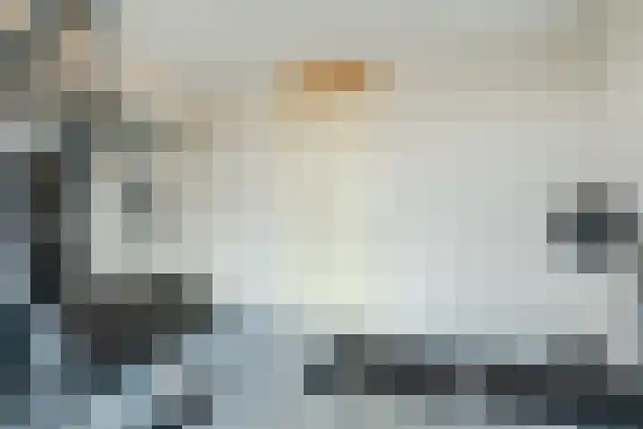 Elzenmos 74 Zwolle thumbnail 30