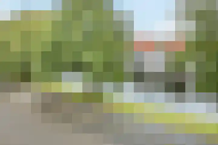 Elzenmos 74 Zwolle thumbnail 37