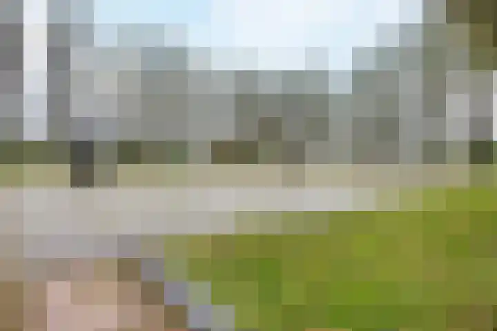 Elzenmos 74 Zwolle thumbnail 38