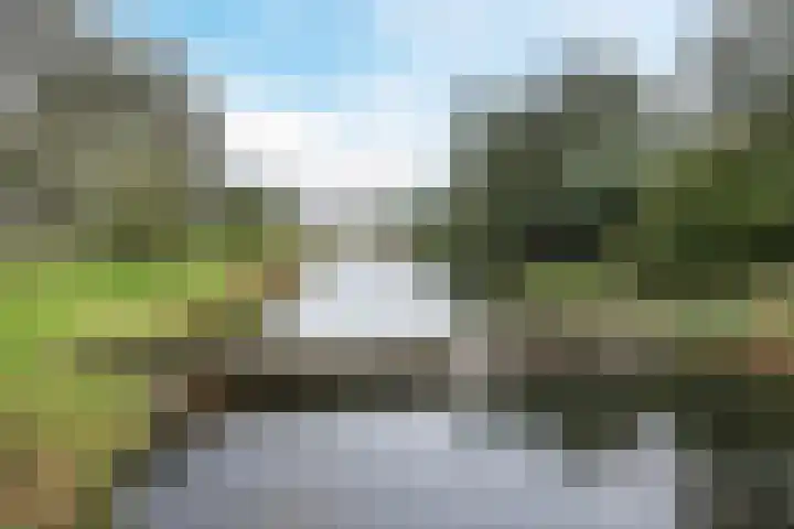 Elzenmos 74 Zwolle thumbnail 39