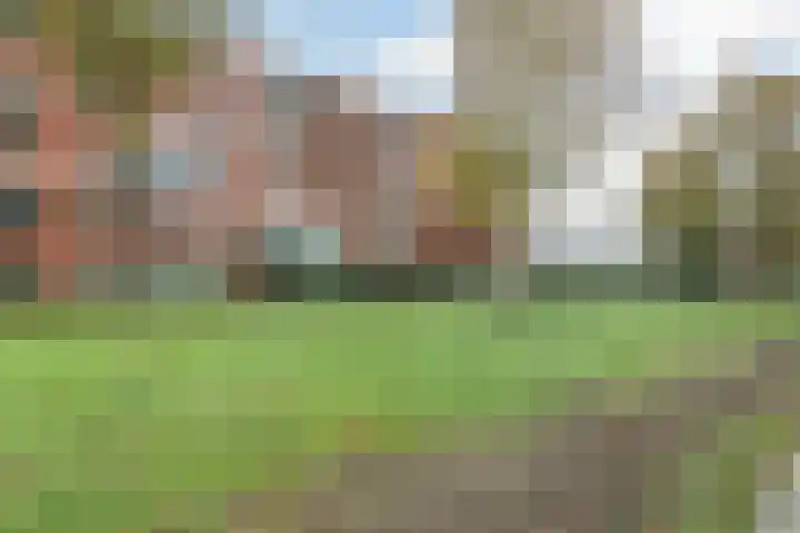 Elzenmos 74 Zwolle thumbnail 4