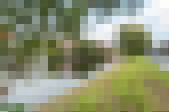 Elzenmos 74 Zwolle thumbnail 40