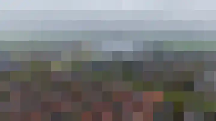 Elzenmos 74 Zwolle thumbnail 43
