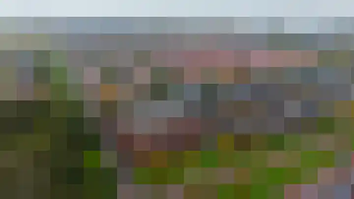 Elzenmos 74 Zwolle thumbnail 44
