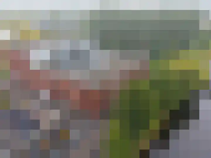 Elzenmos 74 Zwolle thumbnail 45