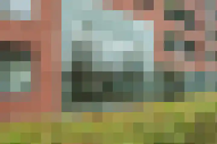 Elzenmos 74 Zwolle thumbnail 5
