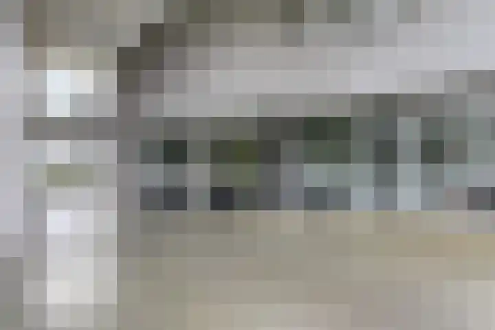 Elzenmos 74 Zwolle thumbnail 6