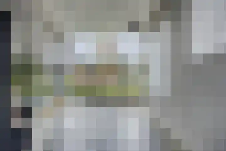 Elzenmos 74 Zwolle thumbnail 7