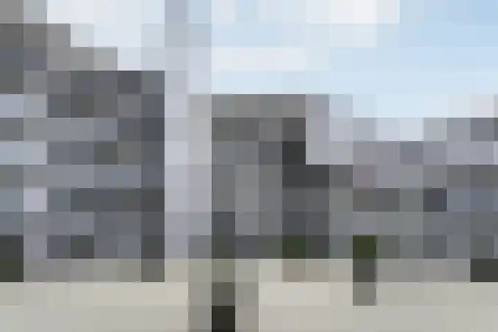 Elzenmos 74 Zwolle thumbnail 9