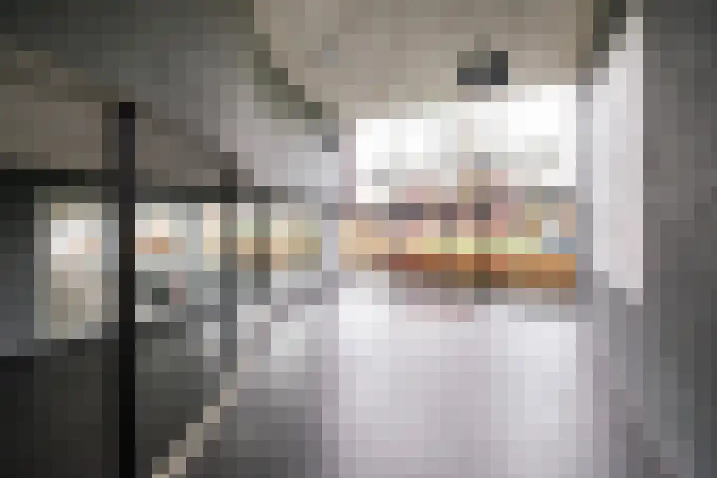 Elzenmos 80 Zwolle thumbnail 10