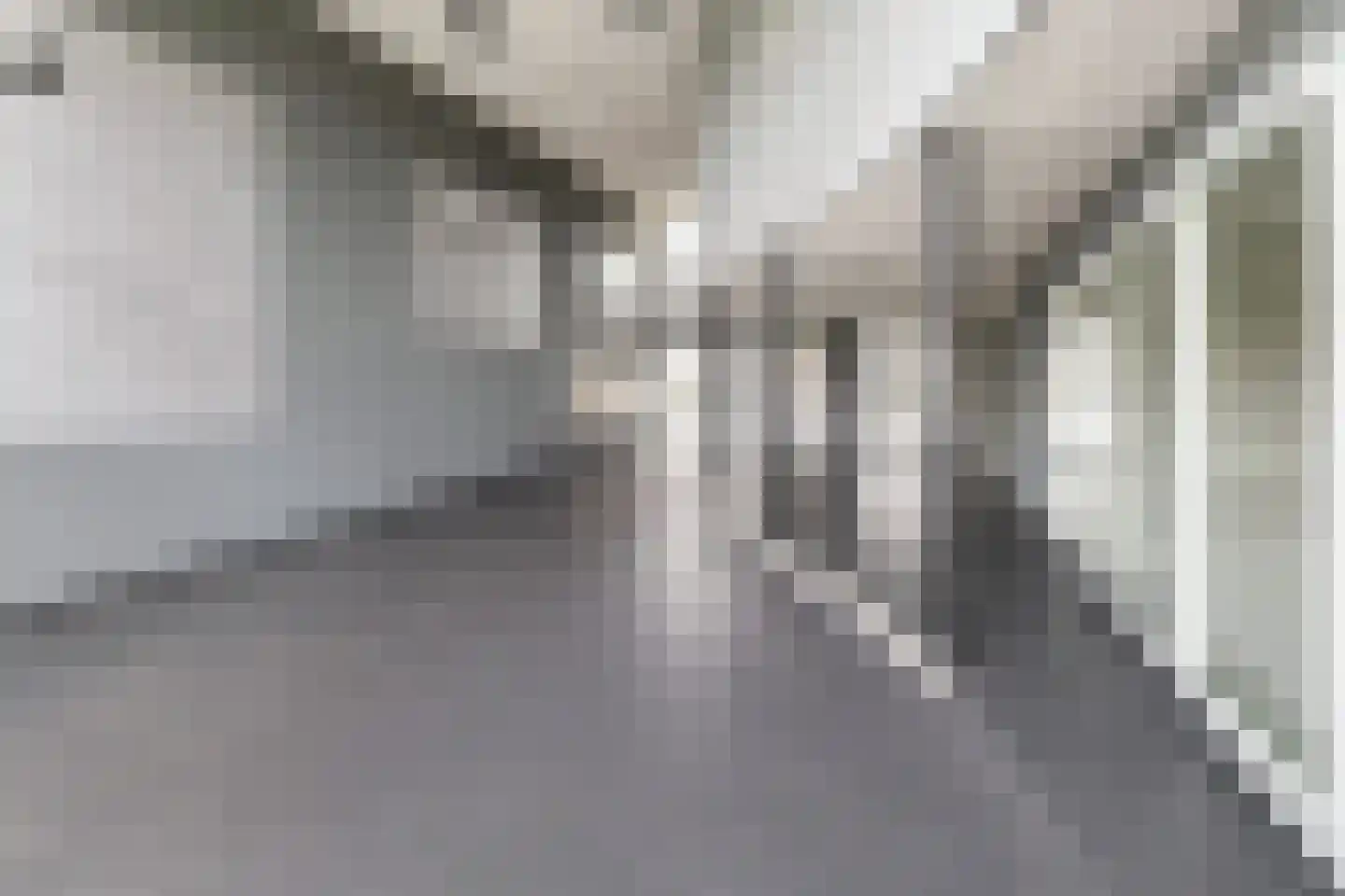 Elzenmos 80 Zwolle thumbnail 12