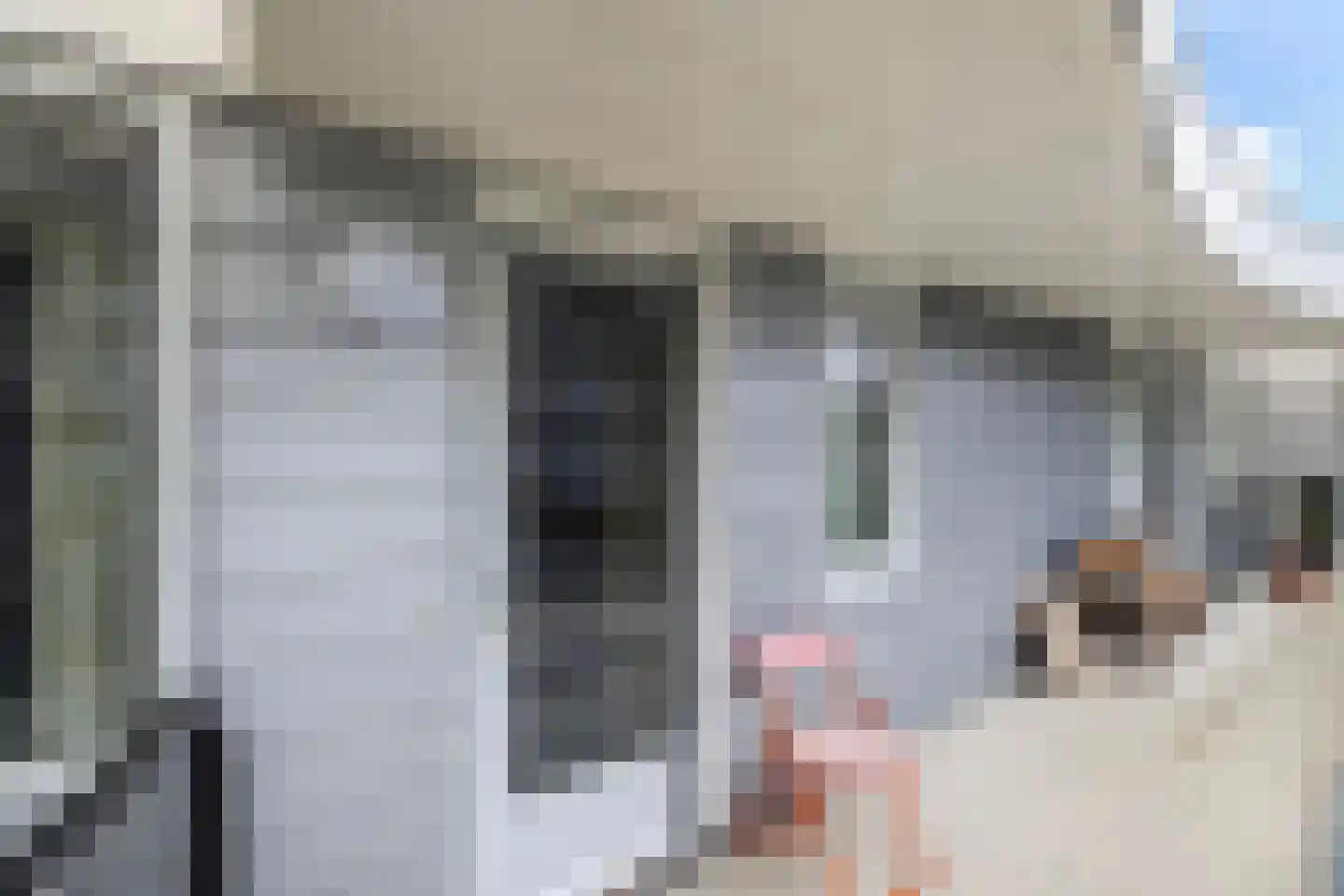 Elzenmos 80 Zwolle thumbnail 13