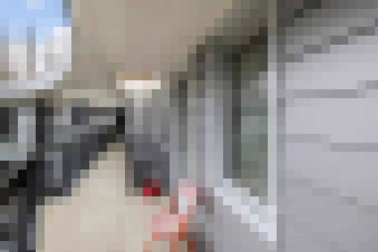 Elzenmos 80 Zwolle thumbnail 14