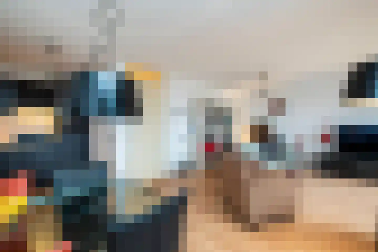 Elzenmos 80 Zwolle thumbnail 20