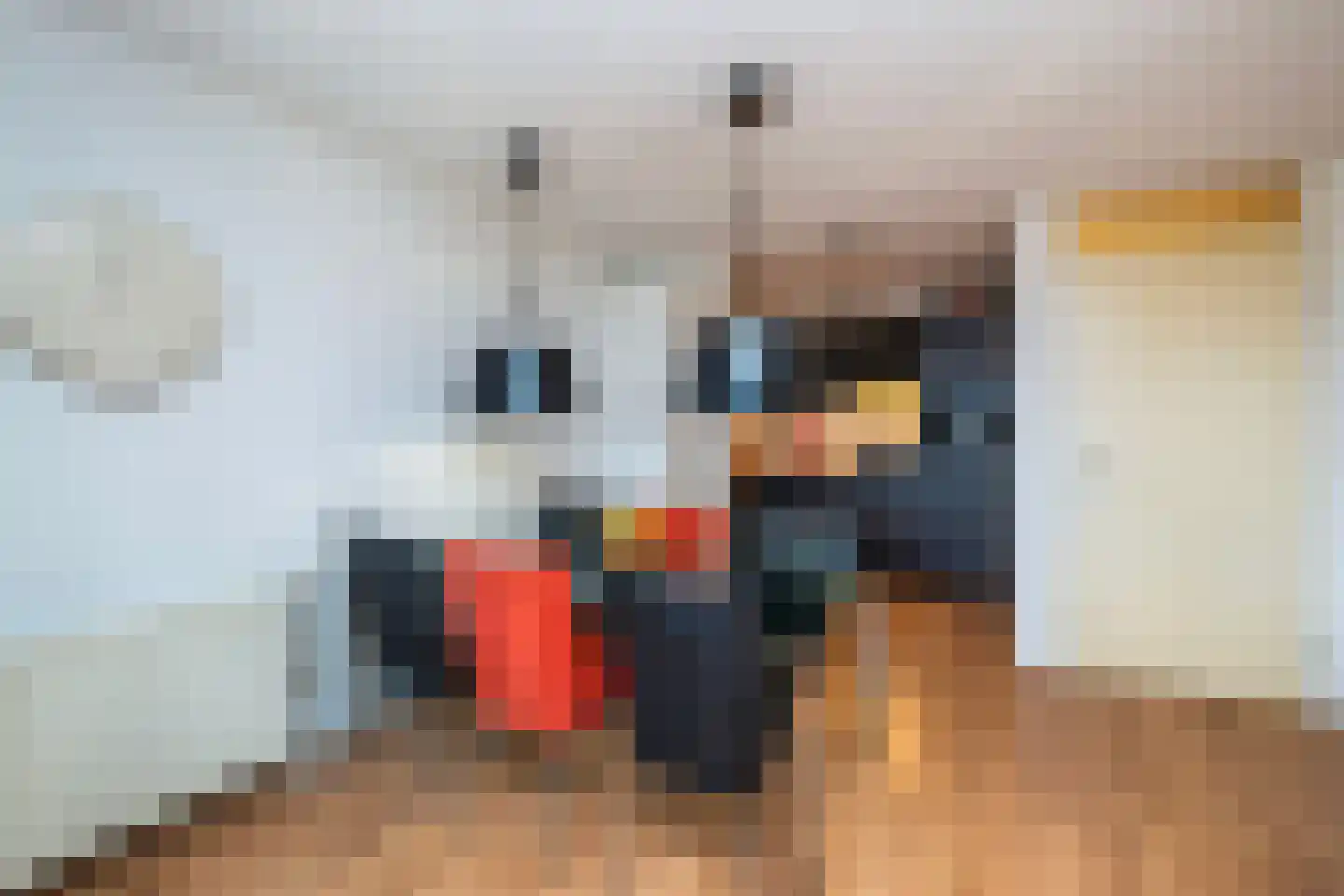 Elzenmos 80 Zwolle thumbnail 21