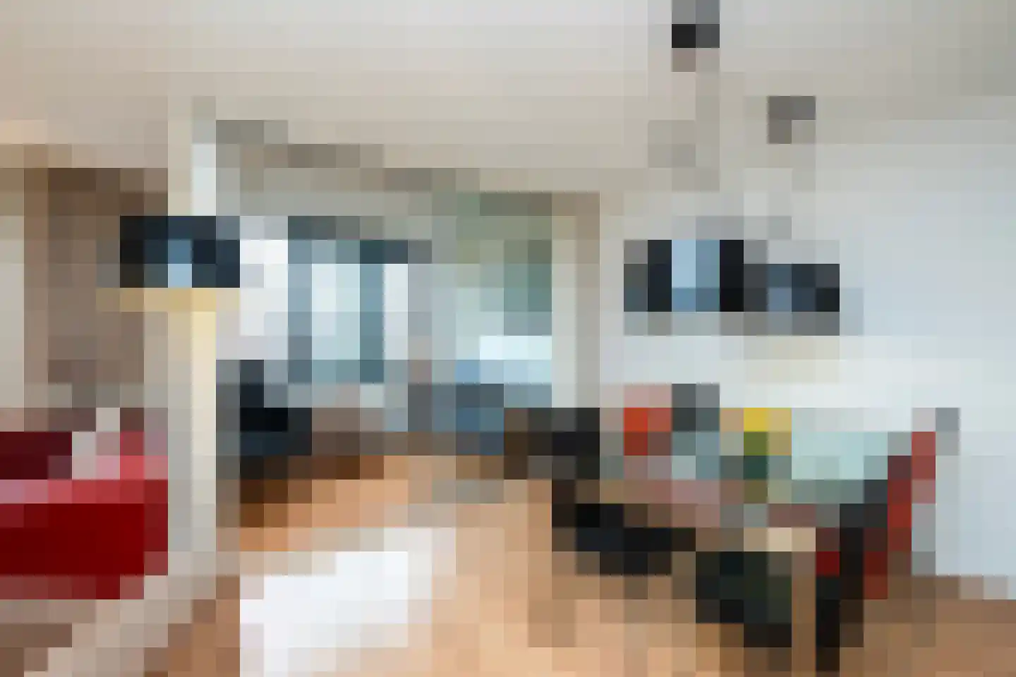 Elzenmos 80 Zwolle thumbnail 23