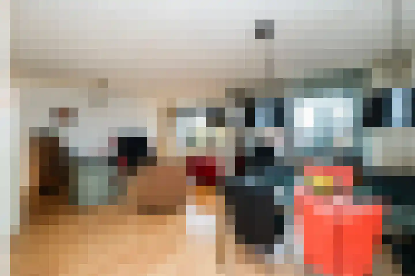 Elzenmos 80 Zwolle thumbnail 25